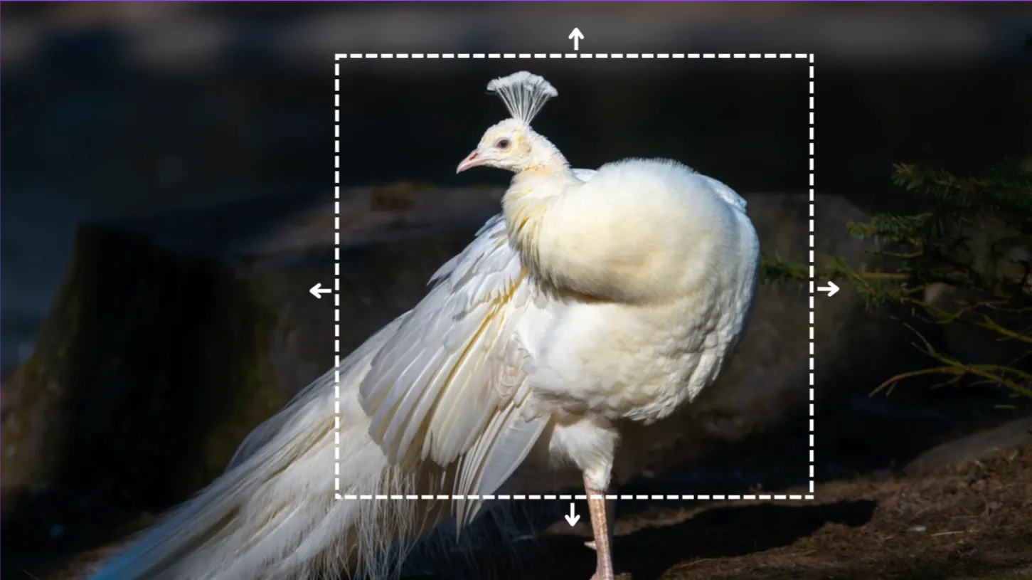 Expand Photos for Any Aspect Ratio Instantly