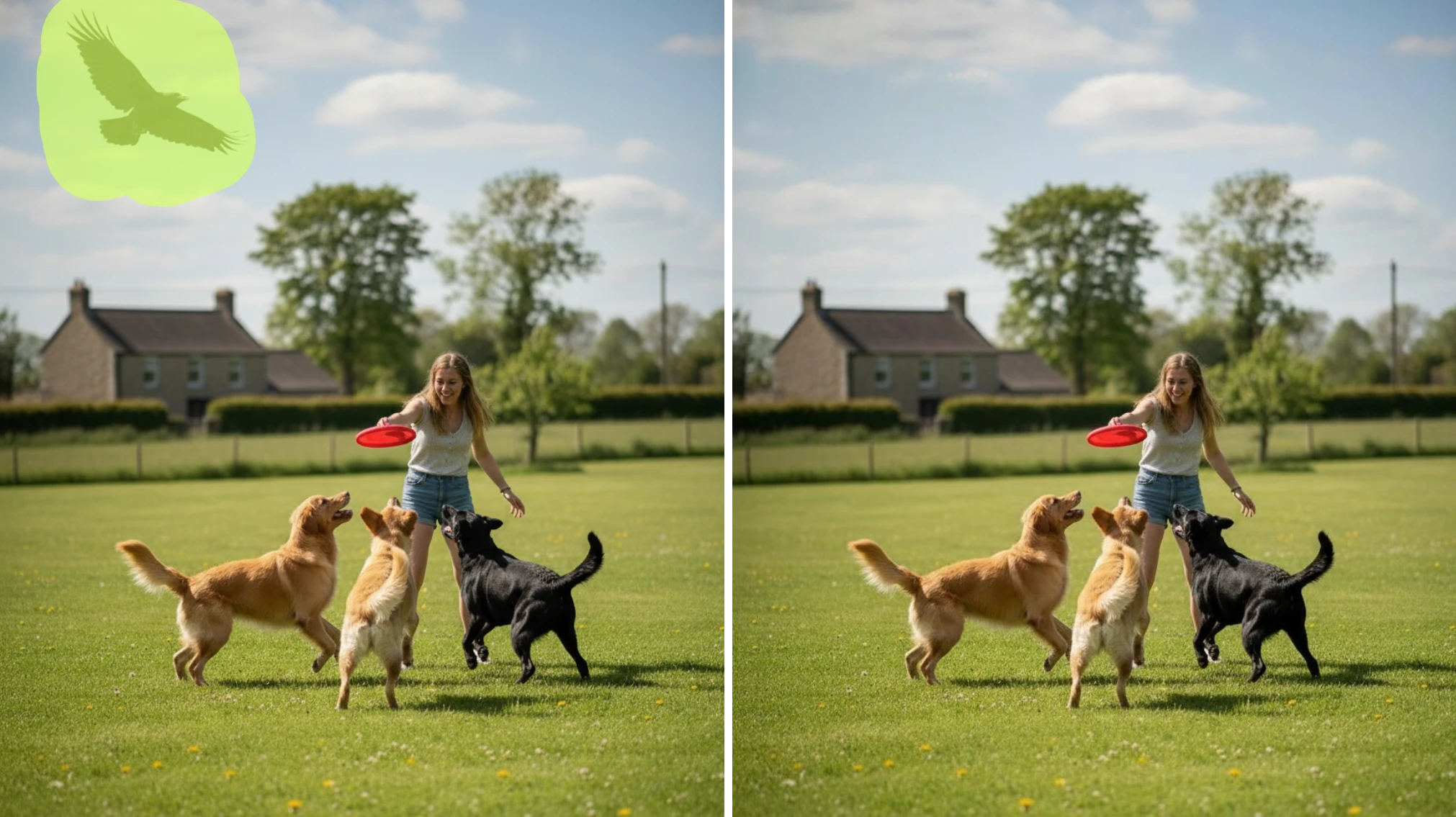 Erase People, Text, and Imperfections with Precision