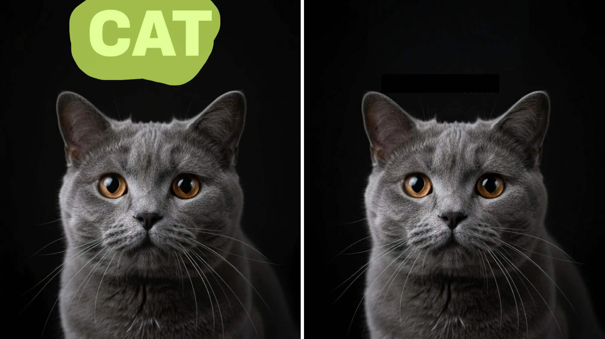 Enhance Visuals, Boost Confidence